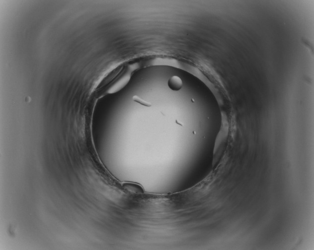 X0000099460108200805161056