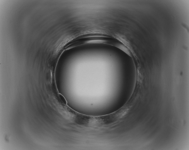 X0000099460109200805161056