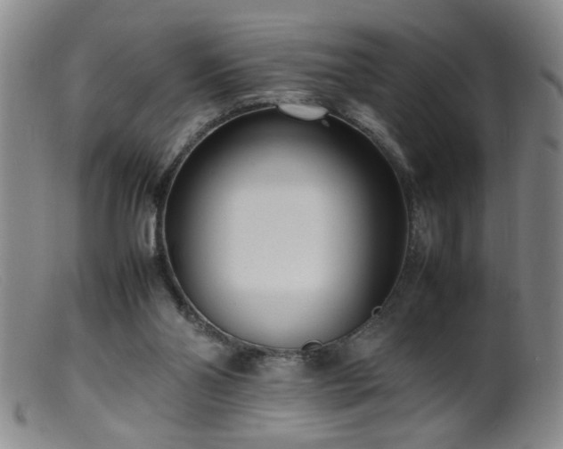 X0000099460110200805161056