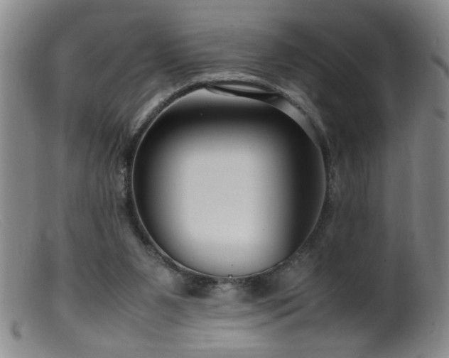 X0000099460111200805161056