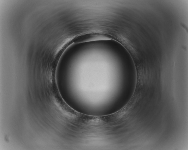 X0000099460112200805161056