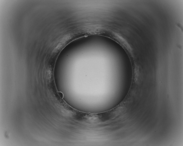 X0000099460113200805161056