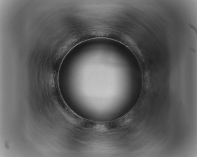 X0000099460114200805161056