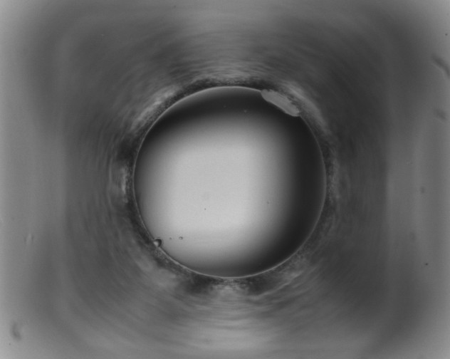 X0000099460115200805161056