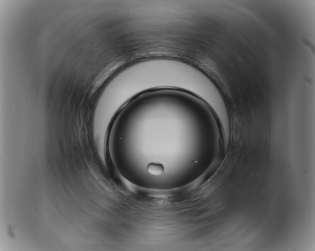 X0000099460116200805161056