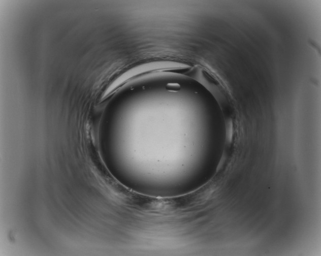 X0000099460117200805161056