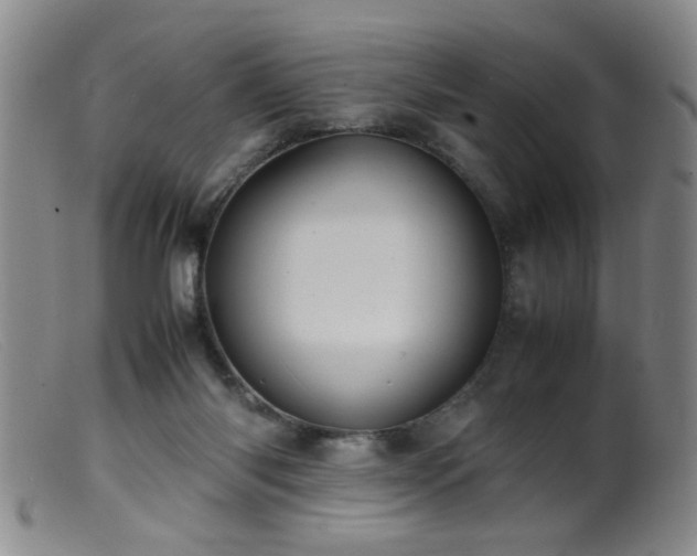 X0000099460118200805161056