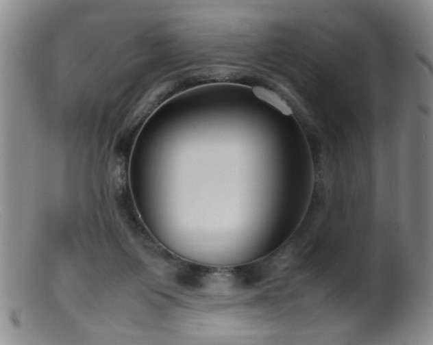 X0000099460119200805161056