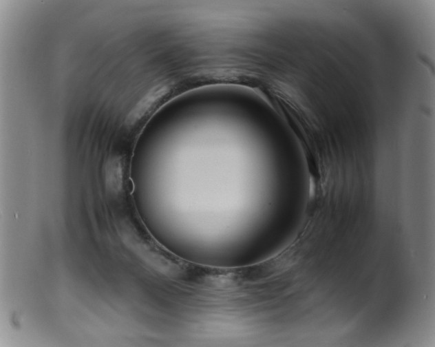 X0000099460120200805161056