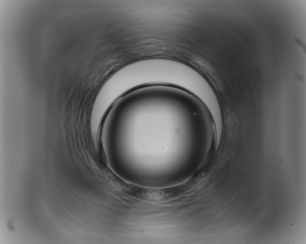 X0000099460121200805161056