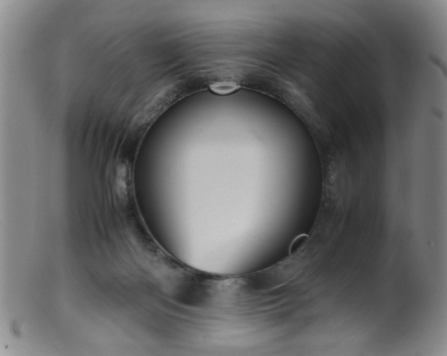 X0000099460122200805161056