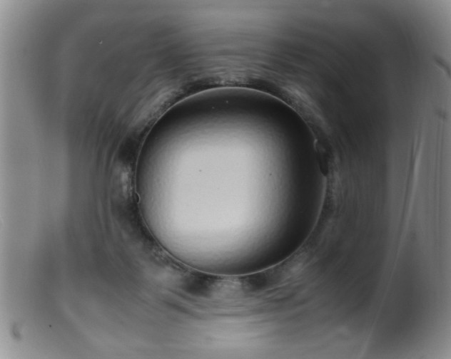 X0000099460123200805161056