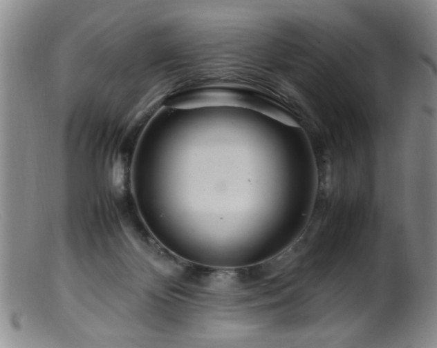 X0000099460124200805161056