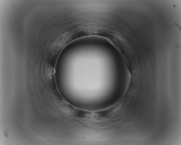 X0000099460125200805161056