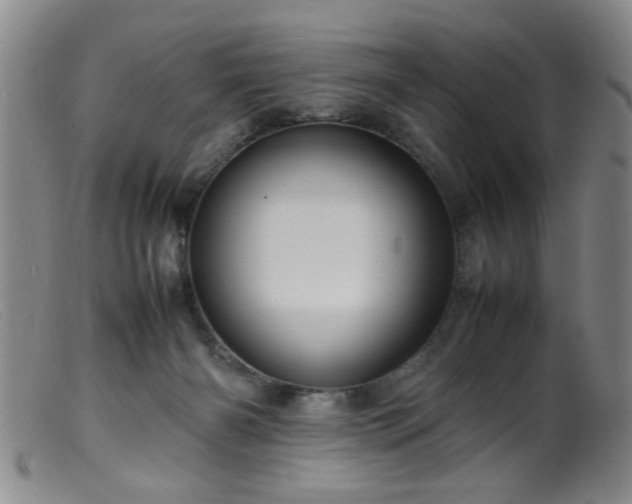 X0000099460126200805161056