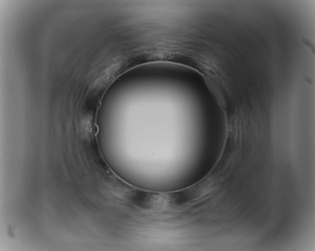 X0000099460127200805161056