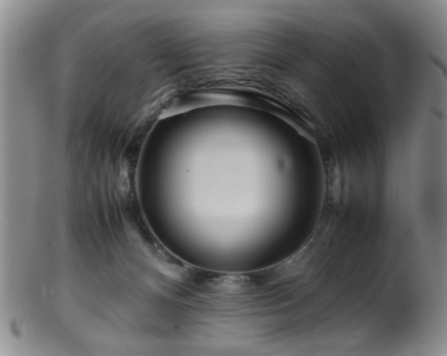 X0000099460128200805161056