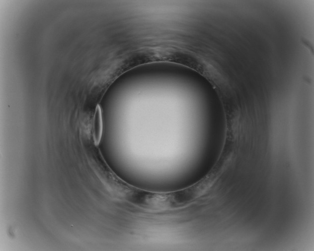 X0000099460129200805161056