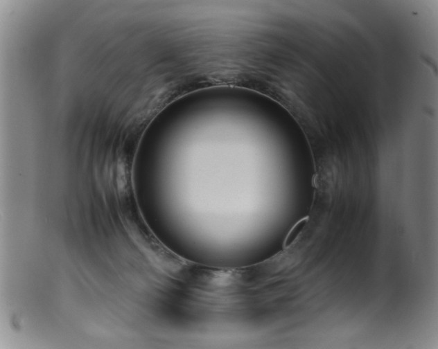 X0000099460130200805161056