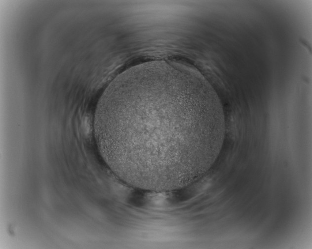 X0000099460131200805161056