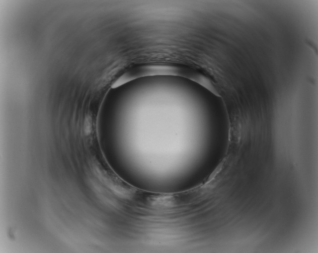 X0000099460132200805161056