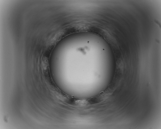 X0000099460133200805161056