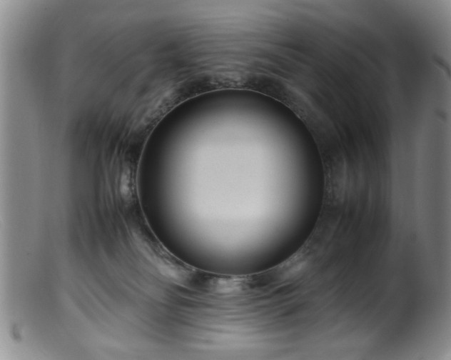 X0000099460134200805161056