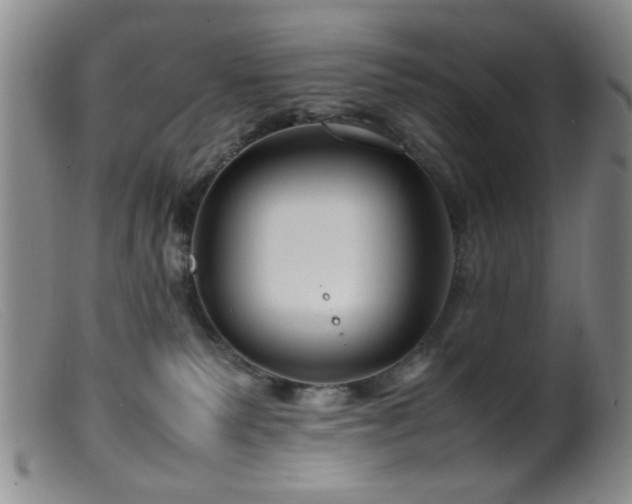 X0000099460135200805161056