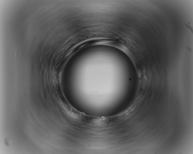 X0000099460136200805161056