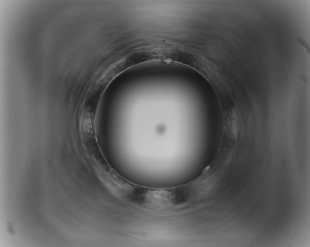 X0000099460137200805161056