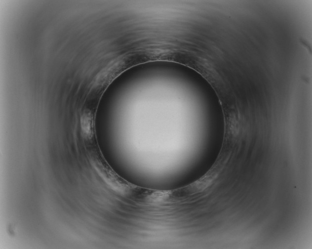 X0000099460138200805161056