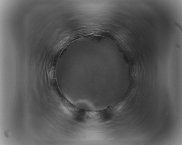 X0000099460139200805161056