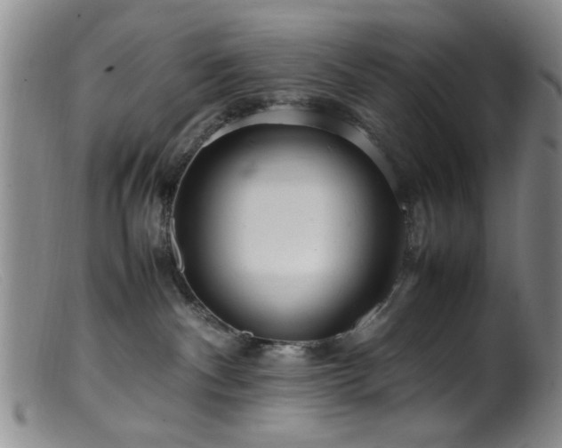 X0000099460140200805161056