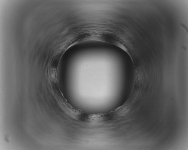 X0000099460141200805161056