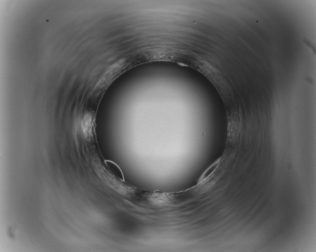 X0000099460142200805161056