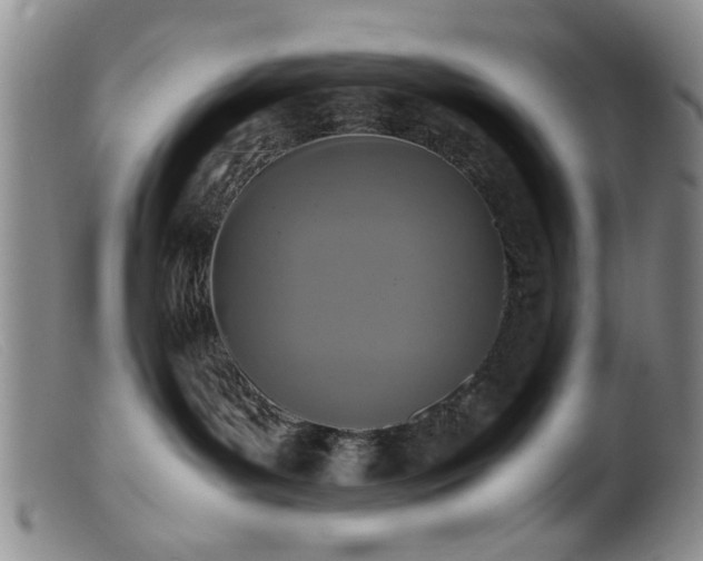 X0000099460143200805161056