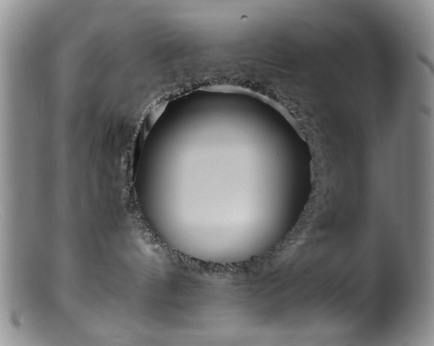 X0000099460144200805161056