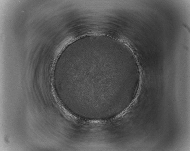 X0000099460145200805161055