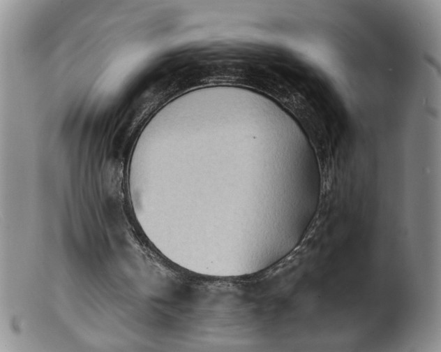 X0000099460146200805161055