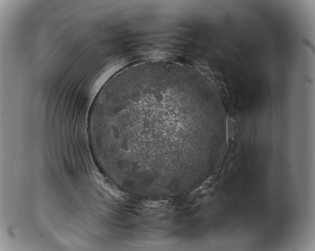 X0000099460147200805161055