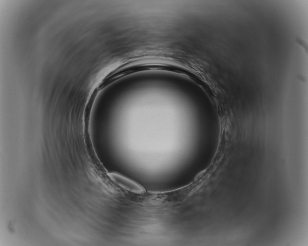 X0000099460148200805161055