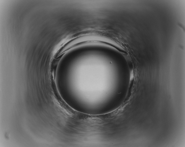 X0000099460150200805161055