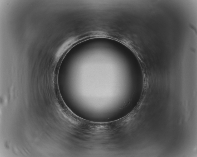 X0000099460151200805161055