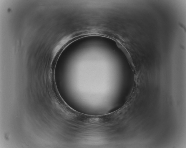 X0000099460152200805161055