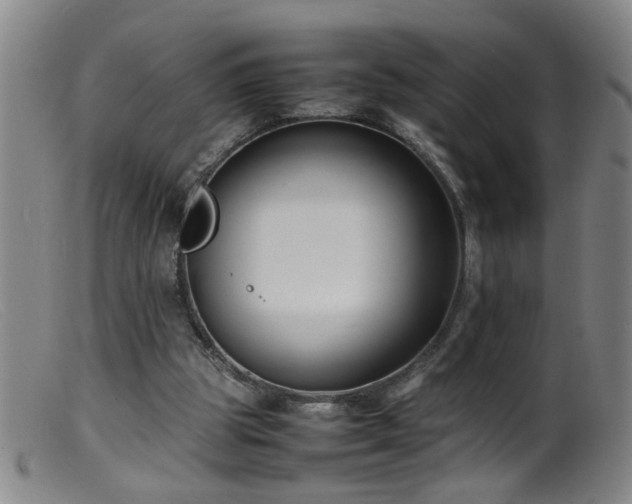 X0000099460153200805161055