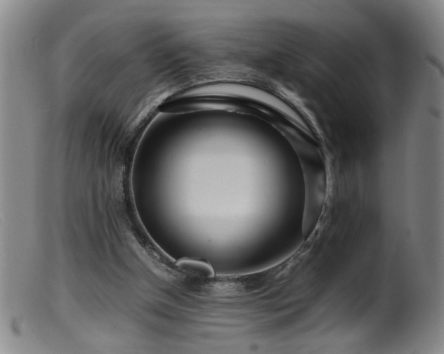 X0000099460154200805161055