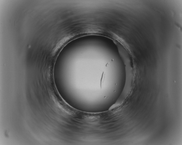 X0000099460155200805161055