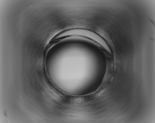 X0000099460156200805161055