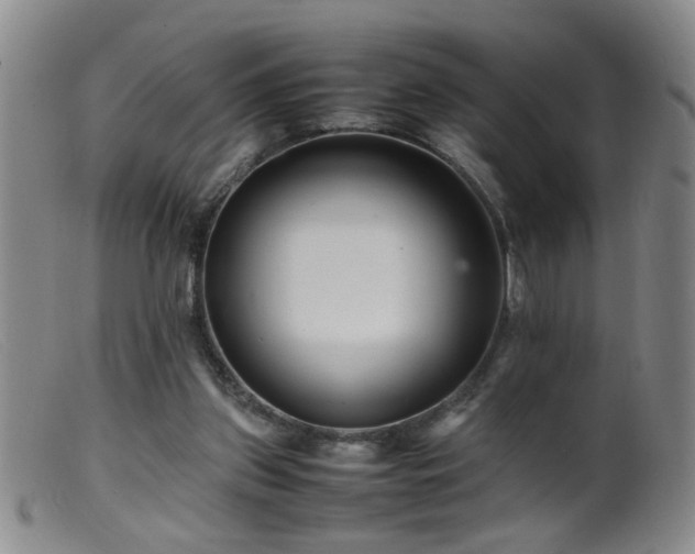 X0000099460157200805161055