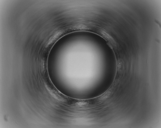 X0000099460158200805161055